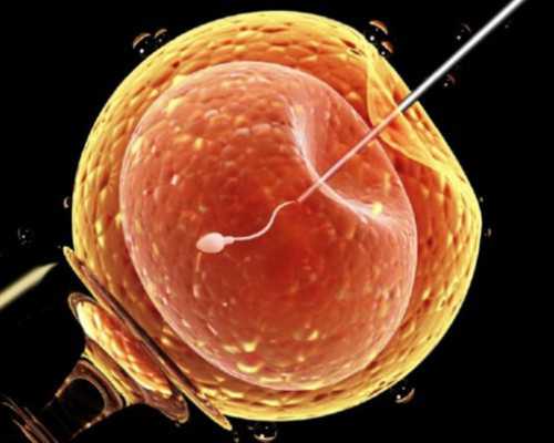 福州供卵代怀经验医生,为不孕不育夫妻带来无尽的爱