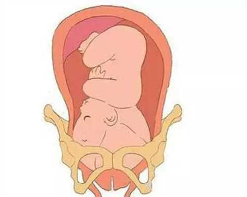 福州有助孕机构吗现在,为不孕不育家庭解除生育难题