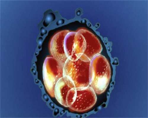 福州助孕机构费用多少钱,让不孕不育家庭憧憬儿女温馨的美好生活